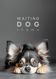 WAITING DOG - Chihuahua L 01/BT -