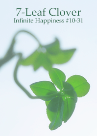7-Leaf Clover Infinite Happiness #10-31