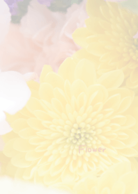 Colorful flower Theme 1