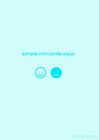 simple mini smile aqua