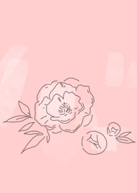Peony & flower