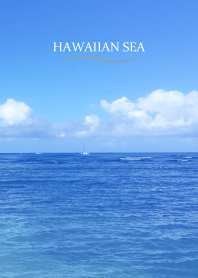 HAWAIIAN SEA 28
