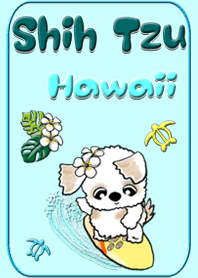 Shih Tzu in Hawaii