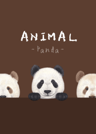 ANIMAL - Panda - BROWN