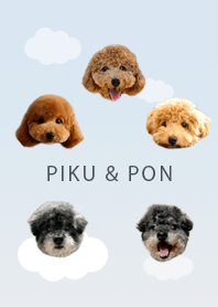 PIKU&PON