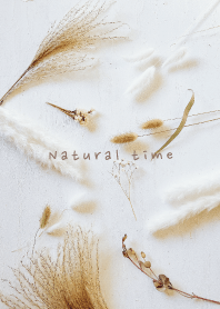 Natural Coffee time_41