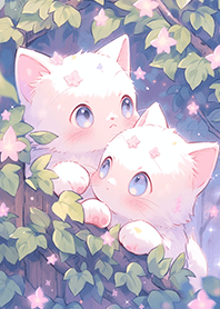 ⭐️神秘森林裡玩耍的小奶貓❤️
