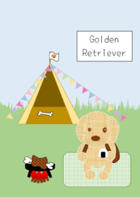 A golden retriever enjoying camping.