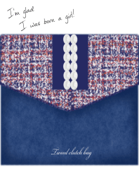 Tweed clutch bag