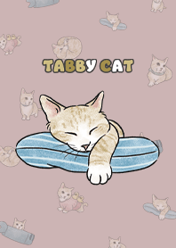 creamtabby2 / rose pink