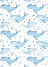 Bright cute little whale_5