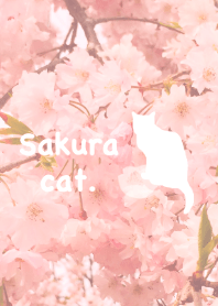 ＊Sakura cat＊