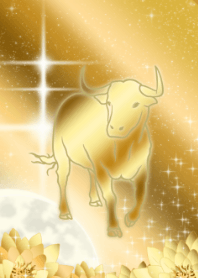 Zodiac beef -Gold- 2022