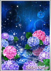 Mysterious-Hydrangea