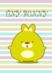 Tiny bunny