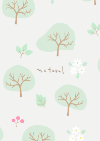 Four seasons summer5 from Japan