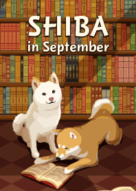SHIBA in September