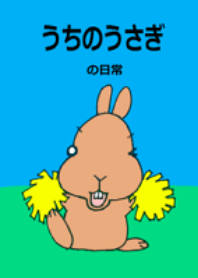 うちのうさぎの日常