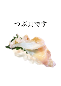 つぶ貝です　寿司