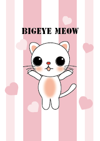 Bigeye meow