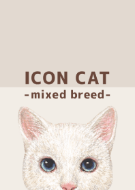 ICON CAT - Mixed breed cat - BROWN/12