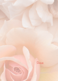 バラのきせかえ13