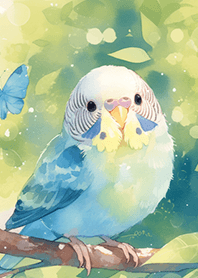 超可愛の虎皮鸚鵡❤️