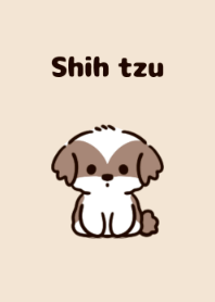 Small dog shih tzu theme.