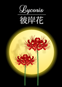Lycoris 彼岸花3