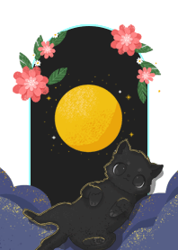 黑夜裡的黑貓