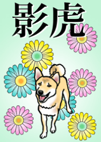 クールな日本男児、影虎くん