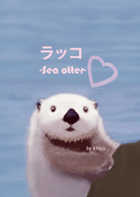 -Sea otter-