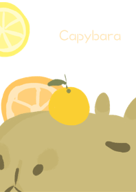 柑橘カピバラ