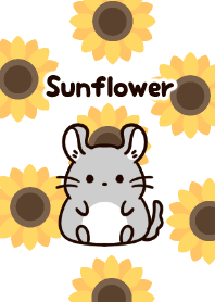 Chinchilla dan bunga matahari.