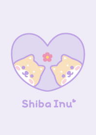 ชิบะอินุ ดอกไม้ [สีม่วง]