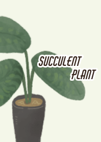 kurumushi plants