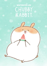 Chubby Rabbit-Watermelon