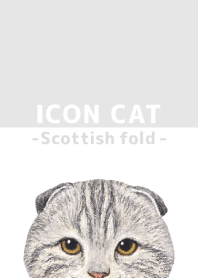 ICON CAT - Scottish fold - GRAY/04