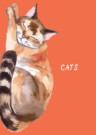 Sleeping Cat on red & yellow