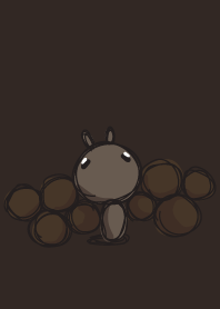 rabbit staring - go round and round