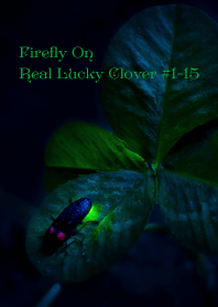 Firefly on Real Lucky Clover#1-15