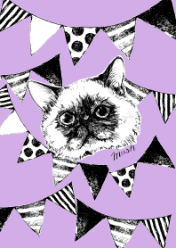 I look up at the sky.siamese cat