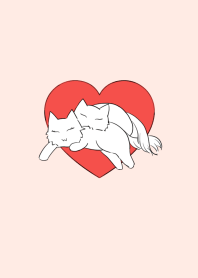 Cat's love story