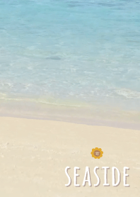 海濱 向日葵'淺褐色的'