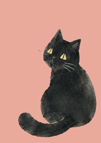A unique cat01 pink & blue