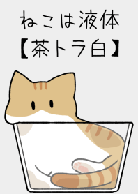 ねこは液体【茶トラ白猫】