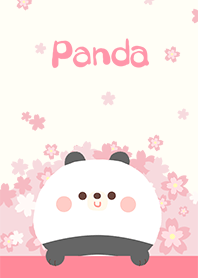 misty cat-Cute Bears panda Sakura pink