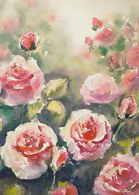 Beautiful rose flower(R4700)