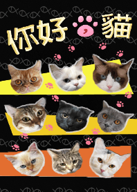 Nihao,mao - Cats collection _ black