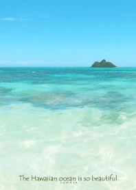 Hawaiian ocean is so beautiful -shell-45